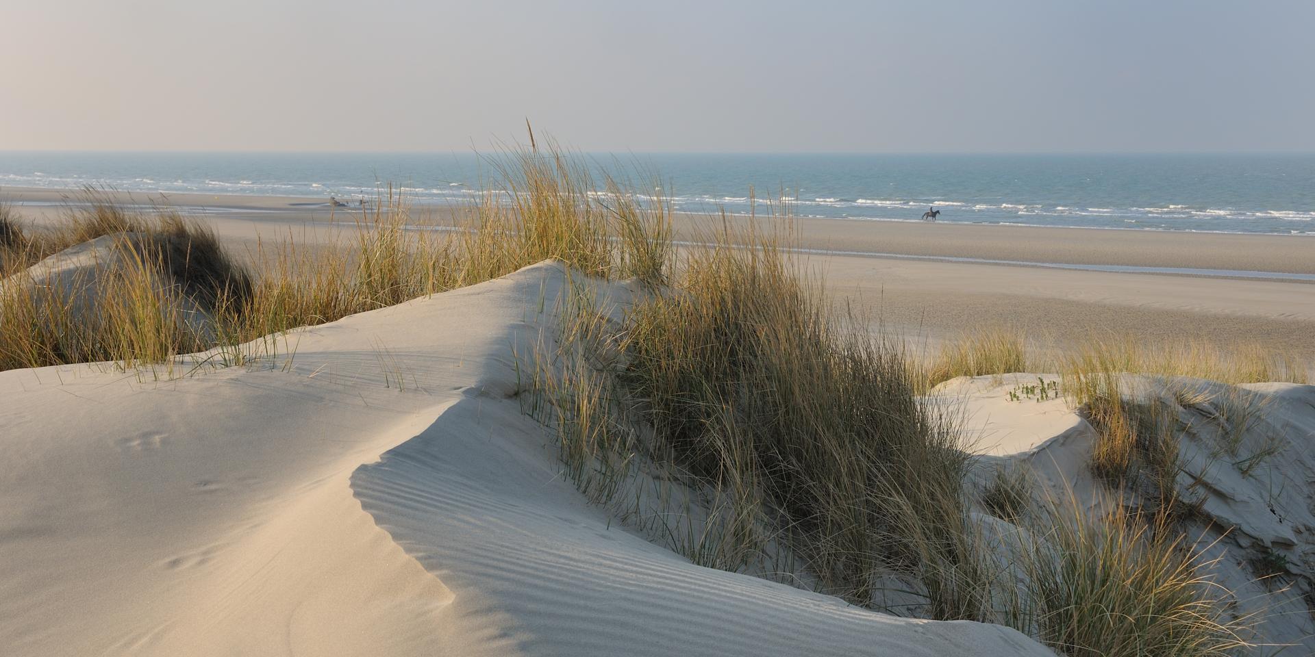 Dunes du coté de Dunkerque